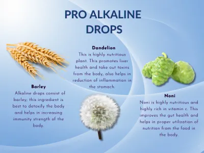 Chin Boss Pro Alkaline 30ml - Thumbnail 8