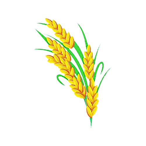 Millets